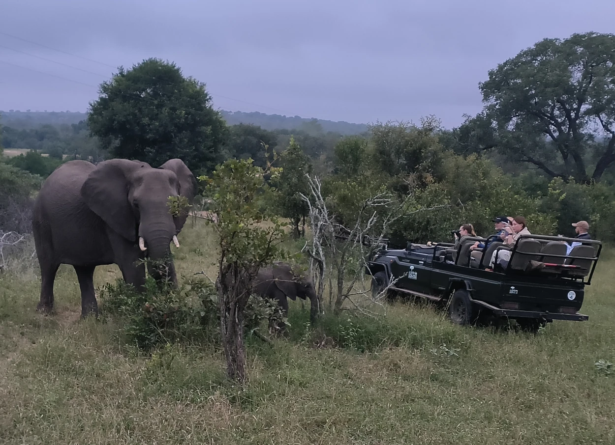 Elephant Monkey Sanctuary